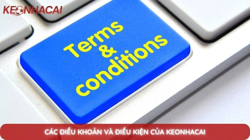 Điều Khoản Sử Dụng 1 Các điều khoản và điều kiện của Keonhacai