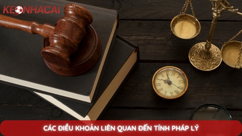 Điều Khoản Sử Dụng 3 Các điều khoản liên quan đến tính pháp lý